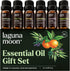 Essential Oils Set - Top 6 Blends for Diffusers, Aromatherapy, Candle Making, Home Care, Gifts - 10mL Peppermint, Tea