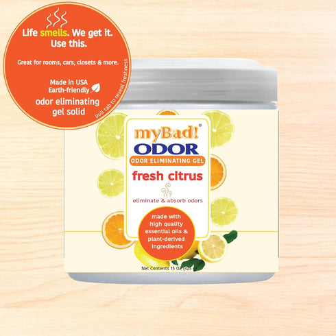 Odor Eliminator Essential Oil Gel, 15 oz, Air Freshener for Bathroom, Pet Area, Closets