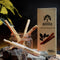 Sticks - Pack of 5 Natural Toothbrush Sticks with Vacuum Holder |