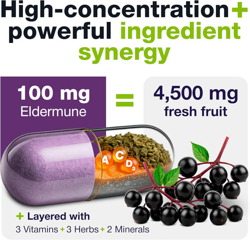 HybridEB Sambucus Elderberry Immune Support with Vitamin C, Zinc, D3 - 60 Capsules, 1 Month Supply