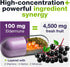 HybridEB Sambucus Elderberry Immune Support with Vitamin C, Zinc, D3 - 60 Capsules, 1 Month Supply