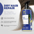 All Natural Hair Repair Shampoo for Men & Women- Moisturizing Shampoo for Dry Hair- Paraben & Sulfate-free Shampoo with Seaweed & Cupuacu for Intense Hair Hydration 6.8oz