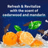 Moisturizing Body & Face Wash for Men by Suave, Cedarwood and Mandarin Scent, No Parabens, No Phthalates, 18 Oz Pack of