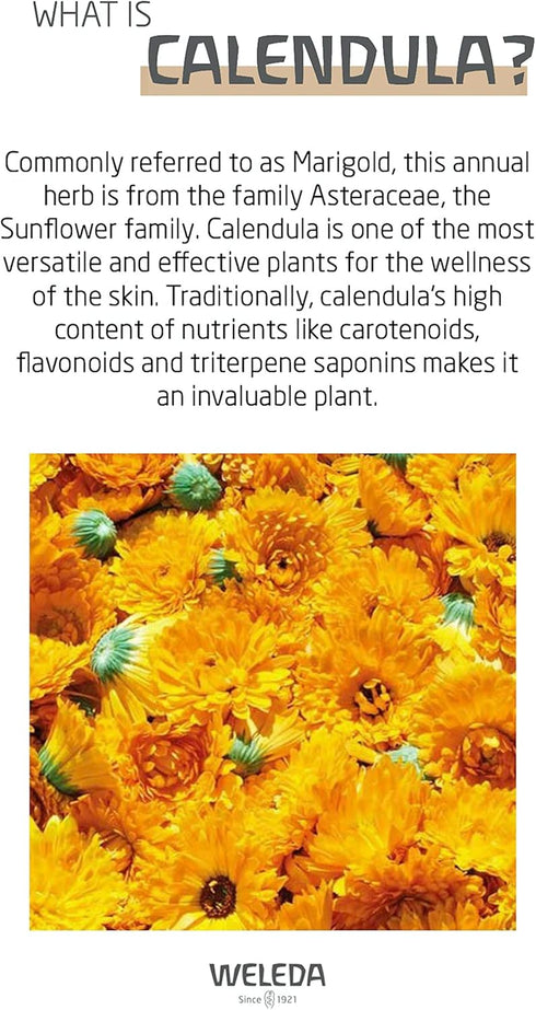 Weleda Baby Calendula Nourishing Face Cream, Plant Rich Moisturizer with Calendula and Lanolin, 1.7 Fluid Ounce