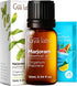 Set Set 2x0.34 oz Marjoram Essential Oil for Diffuser & Cypress Essential Oil for Skin - Aromatherapy Grade Essential