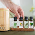 NOW Essential Oils, Ultrasonic Real Bamboo Aromatherapy Oil Diffuser, Extremely Quiet, Heat Free and Easy to Clean