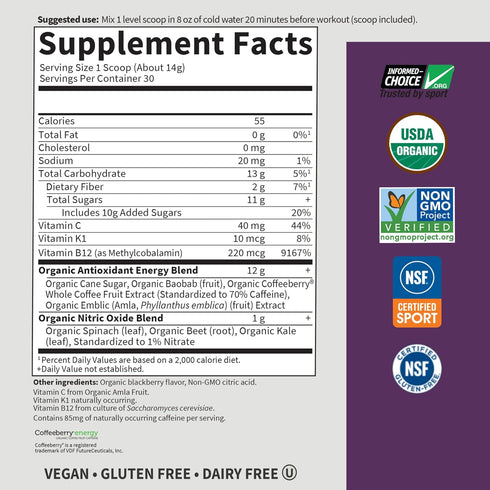 Garden of Life Sport Organic Plant Based Energy + Focus Clean Pre Workout Powder, Blackberry, 15.3 Oz