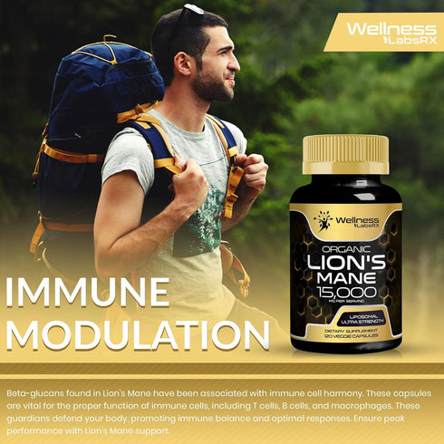 Lions Mane Supplement Capsules, 120 Count, Organic Mushroom Supplement for Memory and Focus