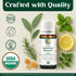 Center of Paradise Immune Restart Organic Essential Oil Blend for Immune Support* (10 ml) - Non-GMO Eucalyptus