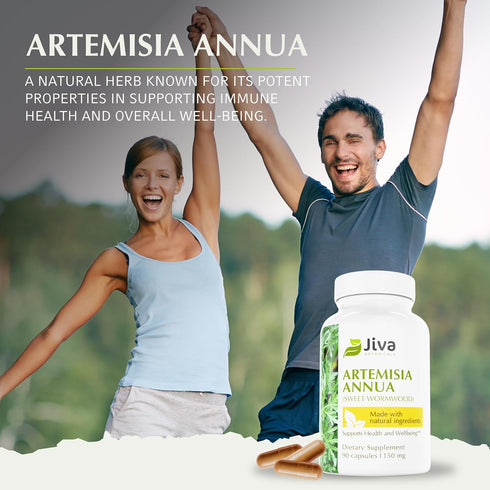 Jiva Botanicals Artemisia Annua Sweet Wormwood Capsules, Supports Immune System & Liver Health, 90 Capsules