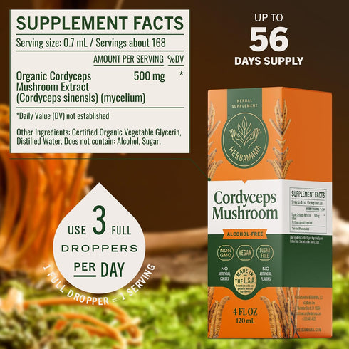 Immune Immunity 56-Day HERBAMAMA Cordyceps Sinensis Tincture - Vegan Support & Defense with Cordyceps Mushroom Extract