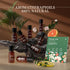 Flower SAY Essential Oil Set - 8 Pack 100% Pure Natural Essential Oils for Diffuser, Humidifier, Skin Care
