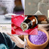LEHOYIANG Set,Top 5 Essential Oils Blends for Diffusers, Candle Making Scents, Home Products, Fragrance, Aromatherapy