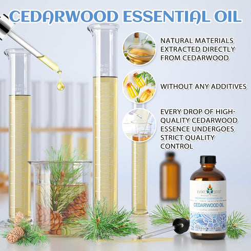 EVOKE OCCU Cedarwood Essential Oil 4 Oz, Pure Oil for Home Diffuser, Skin Massage, Candle, Soap Making