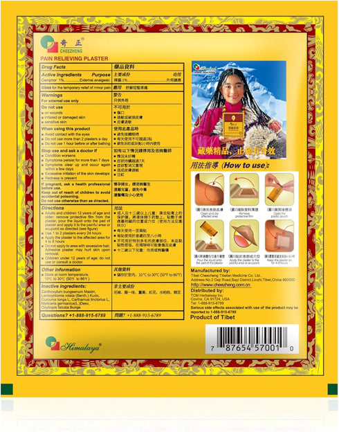 Cheezheng Pain Relieving Plaster, 5 Patches