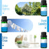 Set, MitFlor Winter & Clean Fragrance Oils Creative Christmas Gift, Fragrance Oils for Diffuser, Soap Candle Making
