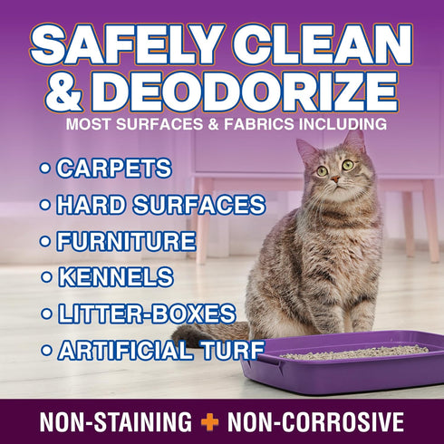 Stain and Odor Remover Spray, 16 oz Black Cherry Scented Pet Odor Eliminator for Carpet and Furniture