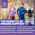2 Pack N1N Premium 10 in 1 Immune Support Supplement, 120 Veg Caps - with Elderberry, Vitamin C, Zinc, Echinacea