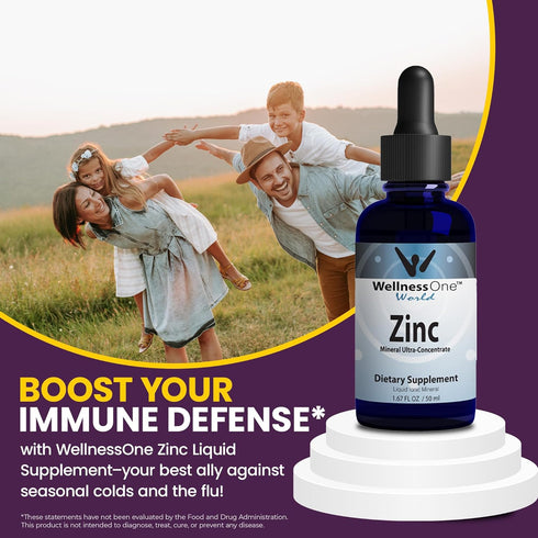 WellnessOne Ionic Liquid Zinc Drops - Highly Absorbable Zinc Supplements for Kids & Adults, 1.67 fl oz