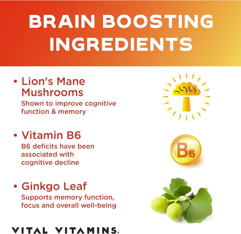 Vital Vitamins Brain Supplements for Memory & Focus - Nootropic Brain Health with Lion's Mane - 60 Count