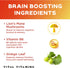 Vital Vitamins Brain Supplements for Memory & Focus - Nootropic Brain Health with Lion's Mane - 60 Count