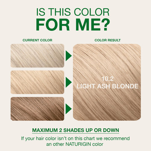 Naturigin Permanent Hair Color, 10.2 Light Ash, 1 Pack, Ammonia Free, Vegan & Cruelty-Free