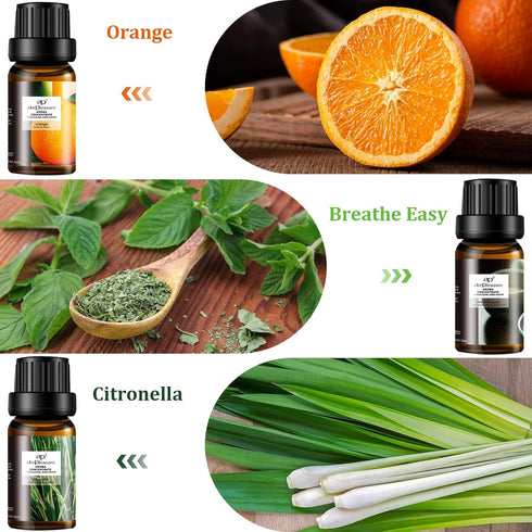 Refresh Essential Oil Set, 6x10ml Aromatherapy Oils for Air Purifier, Diffuser, Humidifier, DIY Candle