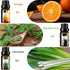 Refresh Essential Oil Set, 6x10ml Aromatherapy Oils for Air Purifier, Diffuser, Humidifier, DIY Candle