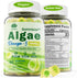 Vegan Omega 3 Supplement Gummies, 2000mg Algae Omega 3 with 640mg DHA & 290mg EPA, Sugar Free, 60 Count