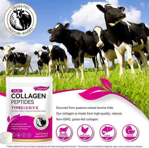 ZUZOKKAHA Multi Collagen Peptides Powder - Types I, II, III, V, X Grass Fed, Pasture Raised - Supports Skin, Hair