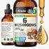 BIO KRAUTER 6-in-1 Mushrooms Supplement - Liquid Extract of Lions Mane, Shiitake, Turkey Tail, Cordyceps, Reishi &