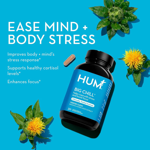 HUM Big Chill Calming Supplement with Rhodiola Rosea for Stress & Mood Support (30-Count) - Balances Adrenal Health