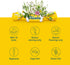 Ricola Sugar Free Lemon Mint Throat Drops, 45 Count - Refreshing Relief for Throat Irritations