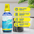 H2Ocean Healing Rinse Mouthwash 2 Pack - Lemon Ice 16oz - Alcohol & Fluoride Free - Great Tasting Sea Salt & Xylitol
