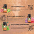 Fall Essential Oils Set - Pure Plant Extracts, Oil Diffuser Essential Oils, Essential Oils for Diffusers for Home, includes Citrus Burst, Freshness, Cozy Reunion, Fiesta, Leaf Aroma, Aromatic