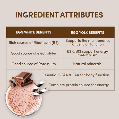 Designer Wellness Natural Egg Yolk & White Protein Powder, Keto and Paleo Friendly, Dutch Chocolate, 12.4 Ounce