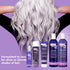 Shiny Silver Conditioner Ultra Color Enhancing, 12 Ounce, 2 Pack (354ml)