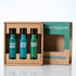 Plant Therapy Pain Support Essential Oil Roll On Blend Set, 10 mL Each of Ache Away, Rapid Relief