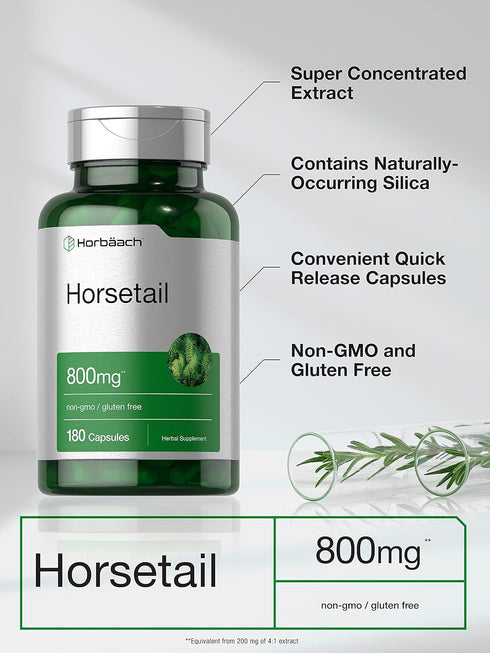 Horbaeach Horsetail Herb Extract Capsules 800mg | 180 Count | Non-GMO, Gluten Free