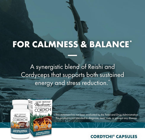 Immune 30 (15 Host Defense CordyChi Capsules - Energy & Support Supplement - Cordyceps & Reishi Mushroom Supplement