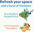 Clorox Disinfecting Mist, Lemongrass Mandarin, 3 Refills, Household Essentials, 16 Fl Oz Each