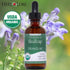Herb Lore (2 oz) Skullcap Tincture Organic - Alcohol Free Liquid Sleep Aid and Nervous System Support with Scutellaria