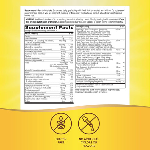 Max6 B12 90 (Packaging Nature's Way Alive! Potency Adult Complete Multivitamin, with Iron, Vitamins A, C, E