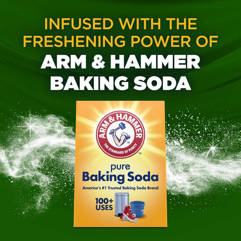 HAMMER 24 Oz ARM & Clean Scentsations In-Wash Scent Booster, Laundry Scent Booster Clean Meadow scent