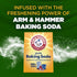 HAMMER 24 Oz ARM & Clean Scentsations In-Wash Scent Booster, Laundry Scent Booster Clean Meadow scent