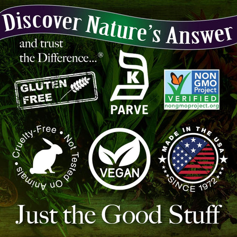 Nature's Answer Sambucus Extract Immune Support, 4 Fluid Ounces, Packed with Antioxidants