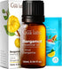 Set Set 2x0.34 oz Rose Essential Oils for Skin Use & Bergamot Essential Oil for Diffuser - Aromatherapy Grade Essential
