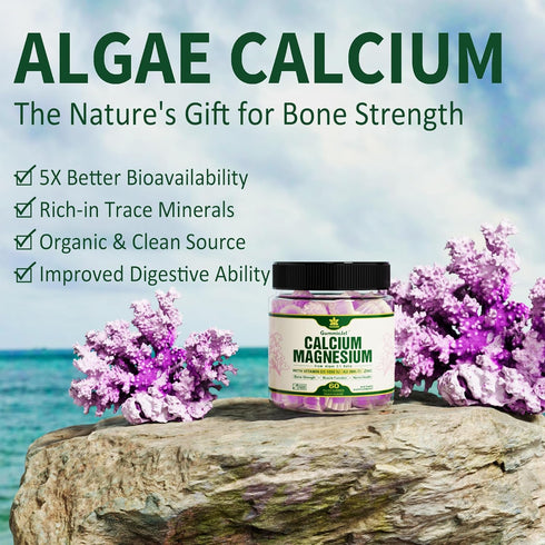 Plant Based Calcium Supplement 600mg with Vitamin D3 K2, Zinc, Magnesium 2:1 Ratio, 60 Vegan Gummies