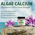 Plant Based Calcium Supplement 600mg with Vitamin D3 K2, Zinc, Magnesium 2:1 Ratio, 60 Vegan Gummies