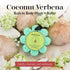 Spongelle Coconut Verbena Wild Flower Buffer Body Scrubber, Bath & Shower Loofah for Women, 14+ Uses